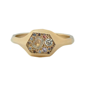 OOAK N2 Atacama Faceted Signet Ring in 9ct Gold