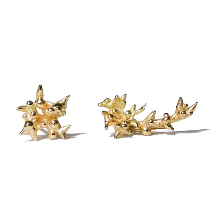 18ct Yellow Gold Sloe Stud Earring & Ear Climber