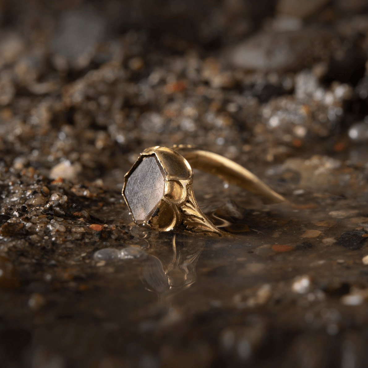 A mudlarked ancient gold ring siting in the mud. 