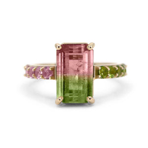 Watermelon Sugar Ring in 9ct Gold and Tourmalines